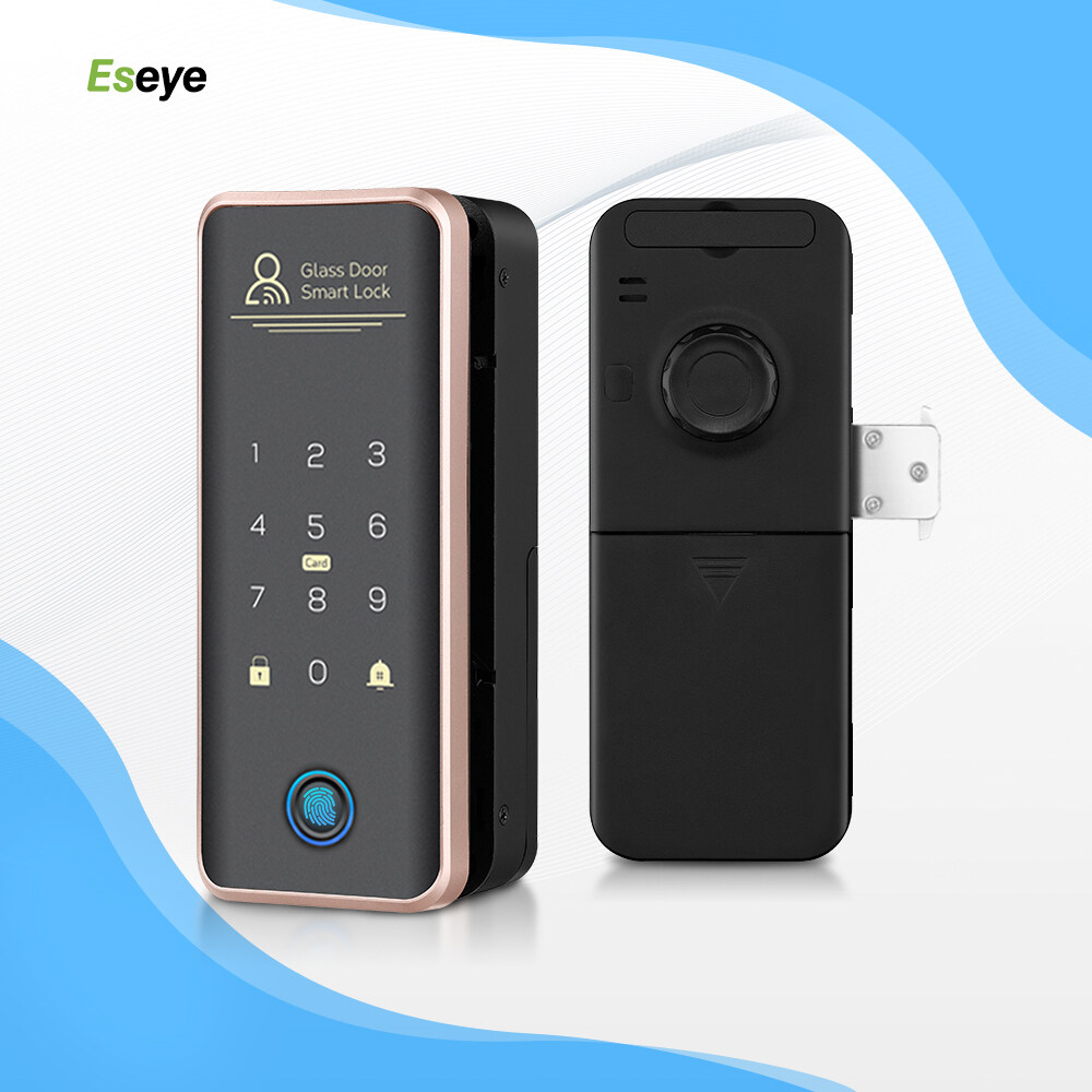 Black Metal Body RFID Card Access Control 3D Face Recognition Smart Glass Door Lock For Wholesale
