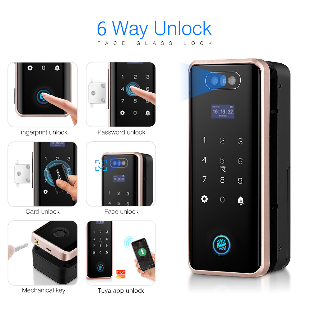 3d face lock , digital glass door lock, digital glass lock, double door glass lock, double glass door lock