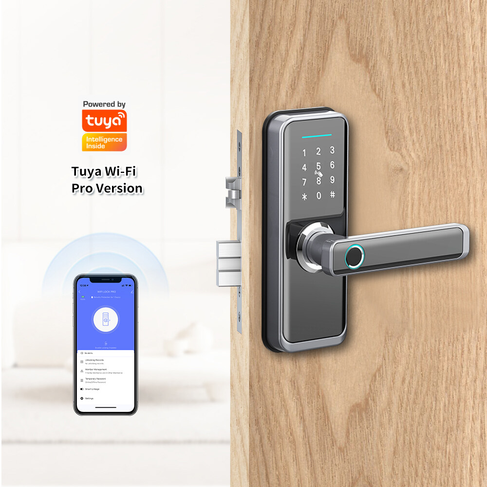 Tuya Glass Door Lock: Elevating Home Security