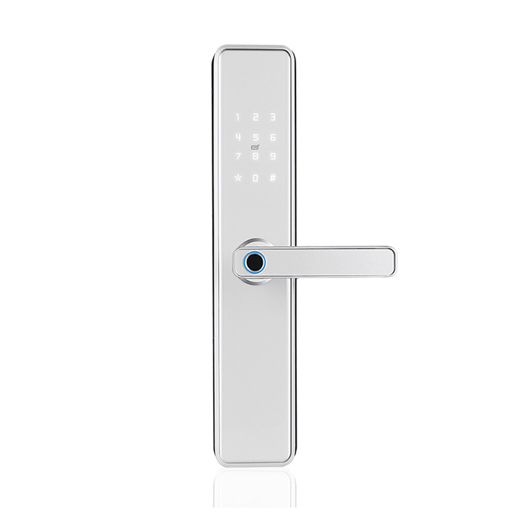 Good Quality Black Metal Body Electric Tlock Alexa Gate WiFi Home Smart Intelligent Lock For Wholesale