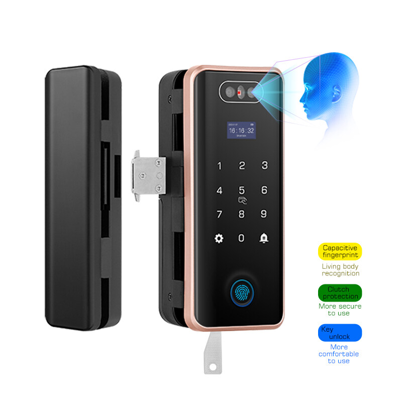 High Quality Lock Digital Safe Keyless Electronic Graffiti Smart Fingerprint Office Furniture Glass Door Smart Lock